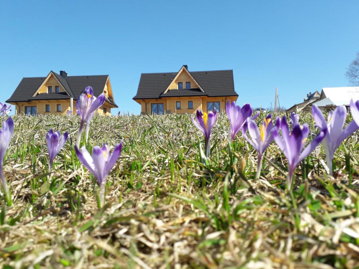 Witowianskie Domki Z Kominkiem, Jacuzzi I Sauna Dzianisz Esterno foto