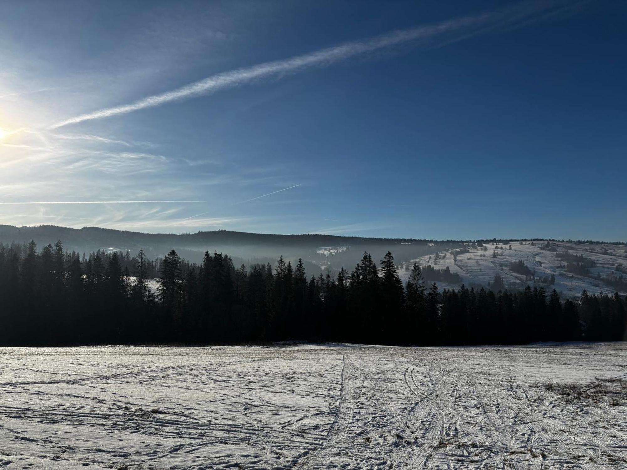 Witowianskie Domki Z Kominkiem, Jacuzzi I Sauna Dzianisz Esterno foto